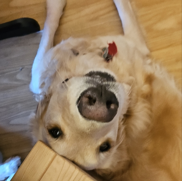 ghostiepie